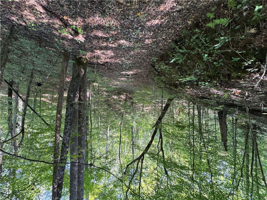 1282 Cobb Bridge Road Westminster, SC 29693 - Photo 6 of 27