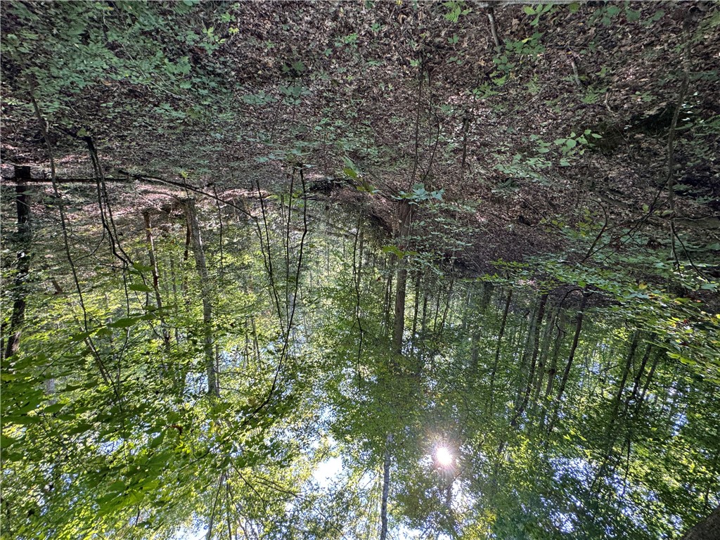 1282 Cobb Bridge Road Westminster, SC 29693 - Photo 7 of 27