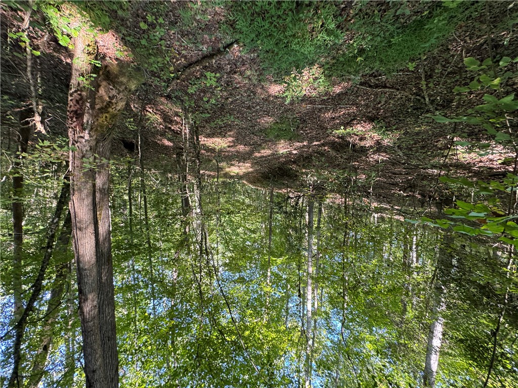 1282 Cobb Bridge Road Westminster, SC 29693 - Photo 8 of 27