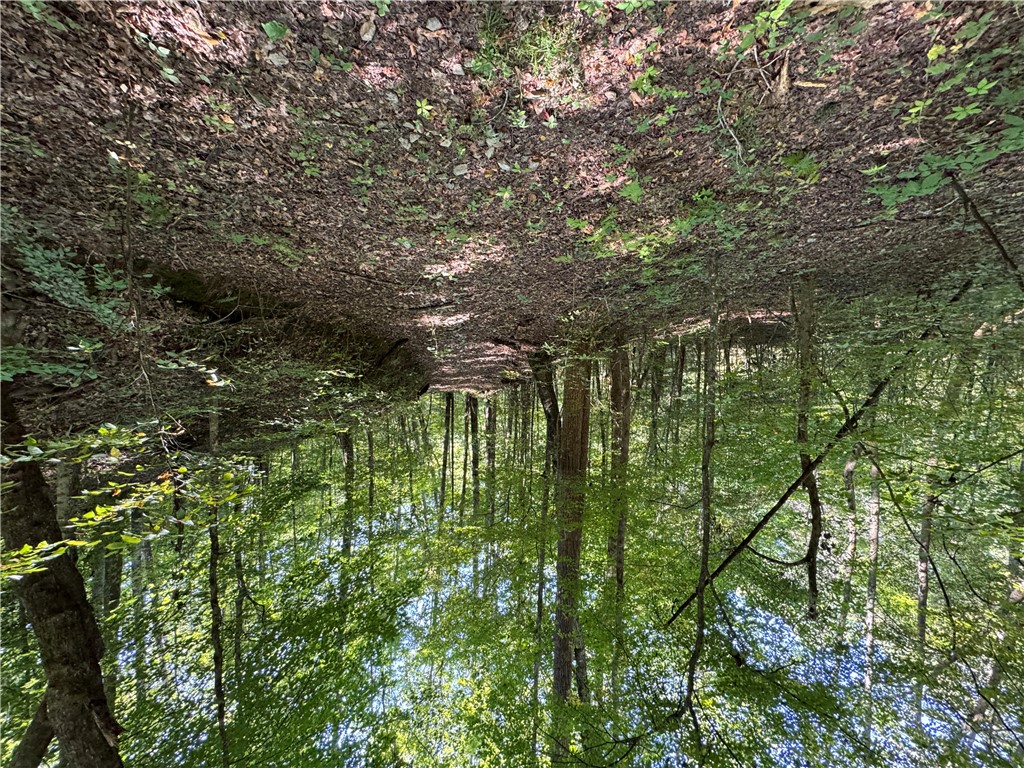 1282 Cobb Bridge Road Westminster, SC 29693 - Photo 9 of 27