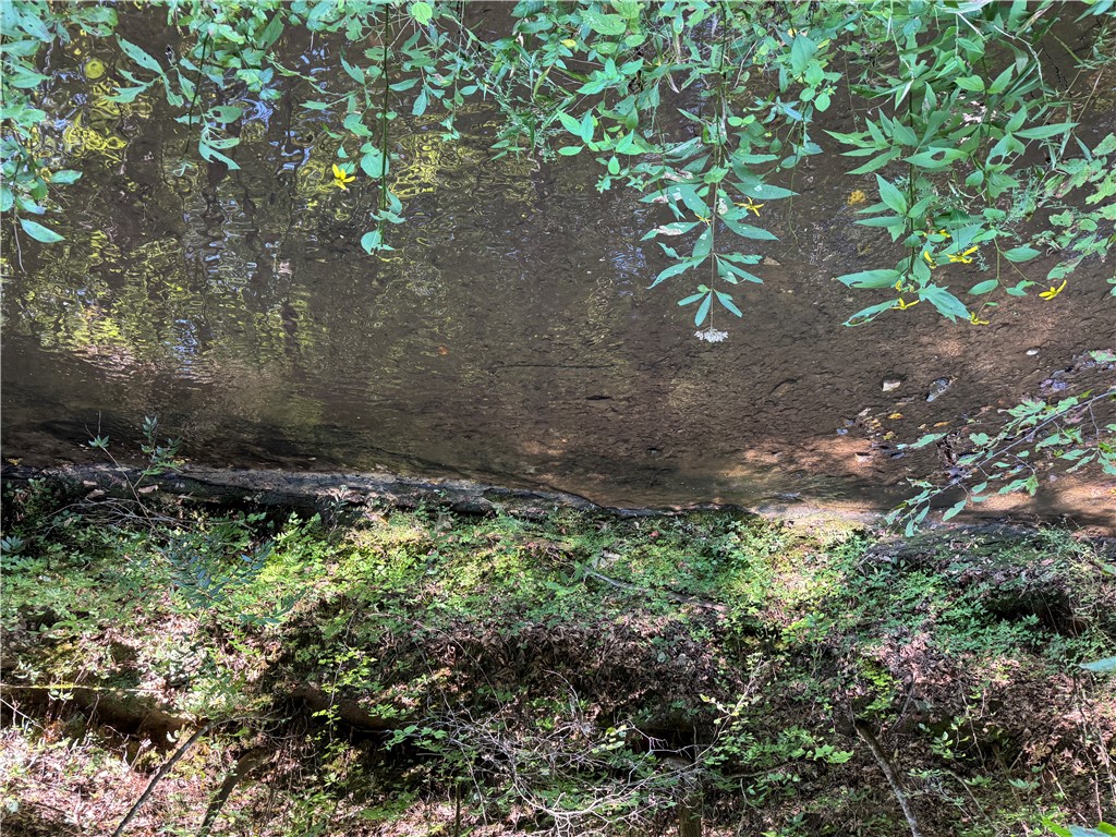 1282 Cobb Bridge Road Westminster, SC 29693 - Photo 10 of 27