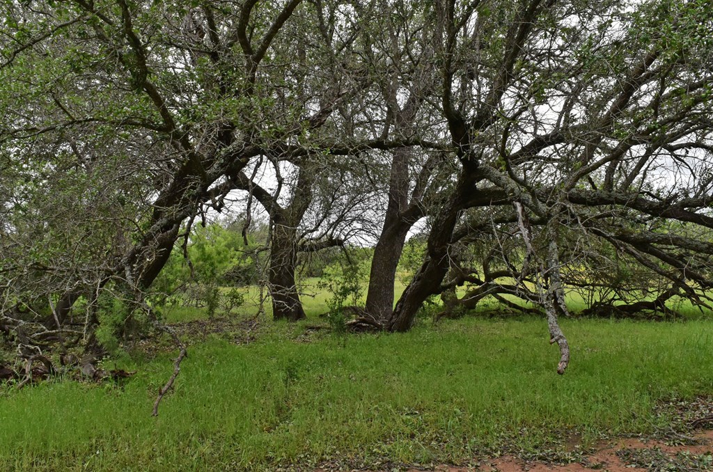- Keyserville Road Mason, TX 76856 - Photo 25 of 25 Gallery Image 25