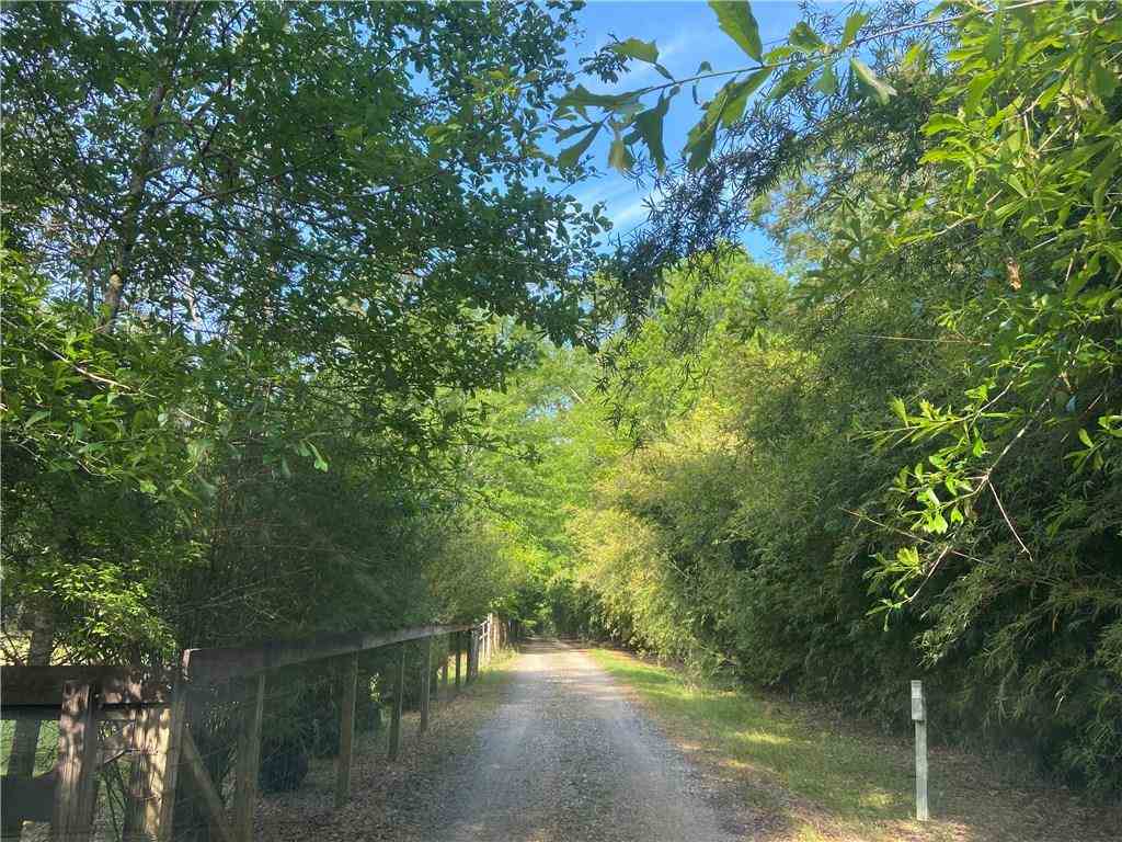 79526 Northline Road Folsom, LA 70437 - Photo 3 of 21 Gallery Image 3