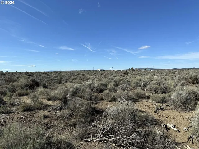 $9,000 | Winter Street, Unit 8300, Christmas Valley, OR 97641