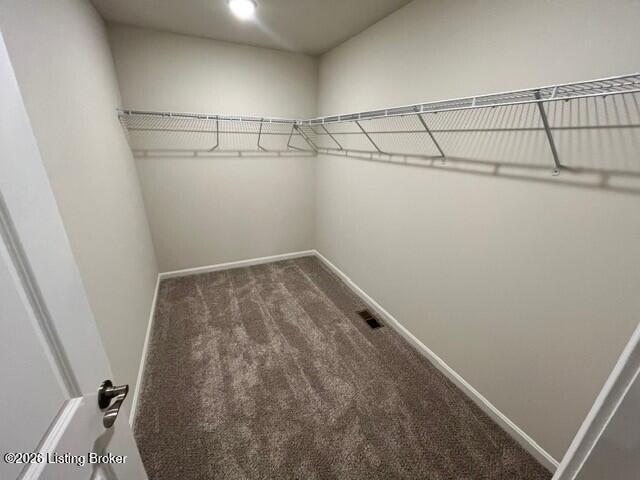 8309 Fairmount Road Louisville, KY 40291 - Photo 12 of 23 HUGE Walk-in Closet
