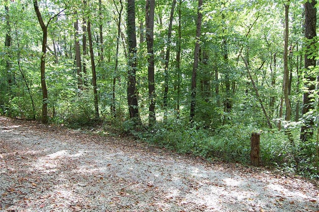 6343 Rattlesnake Road Spencer, IN 47460 - Photo 34 of 36