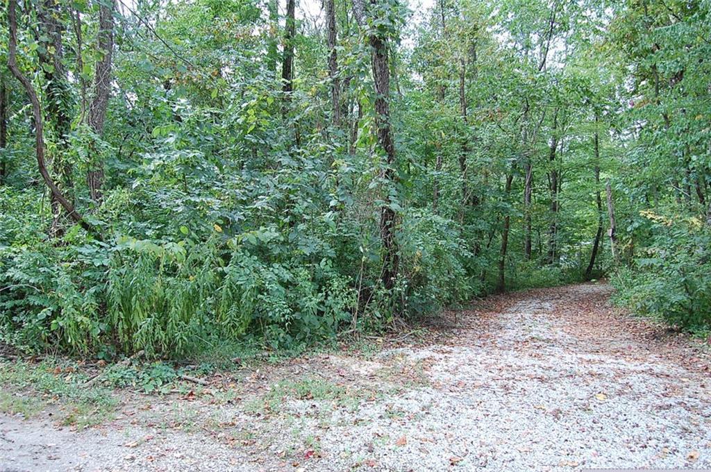 6343 Rattlesnake Road Spencer, IN 47460 - Photo 35 of 36