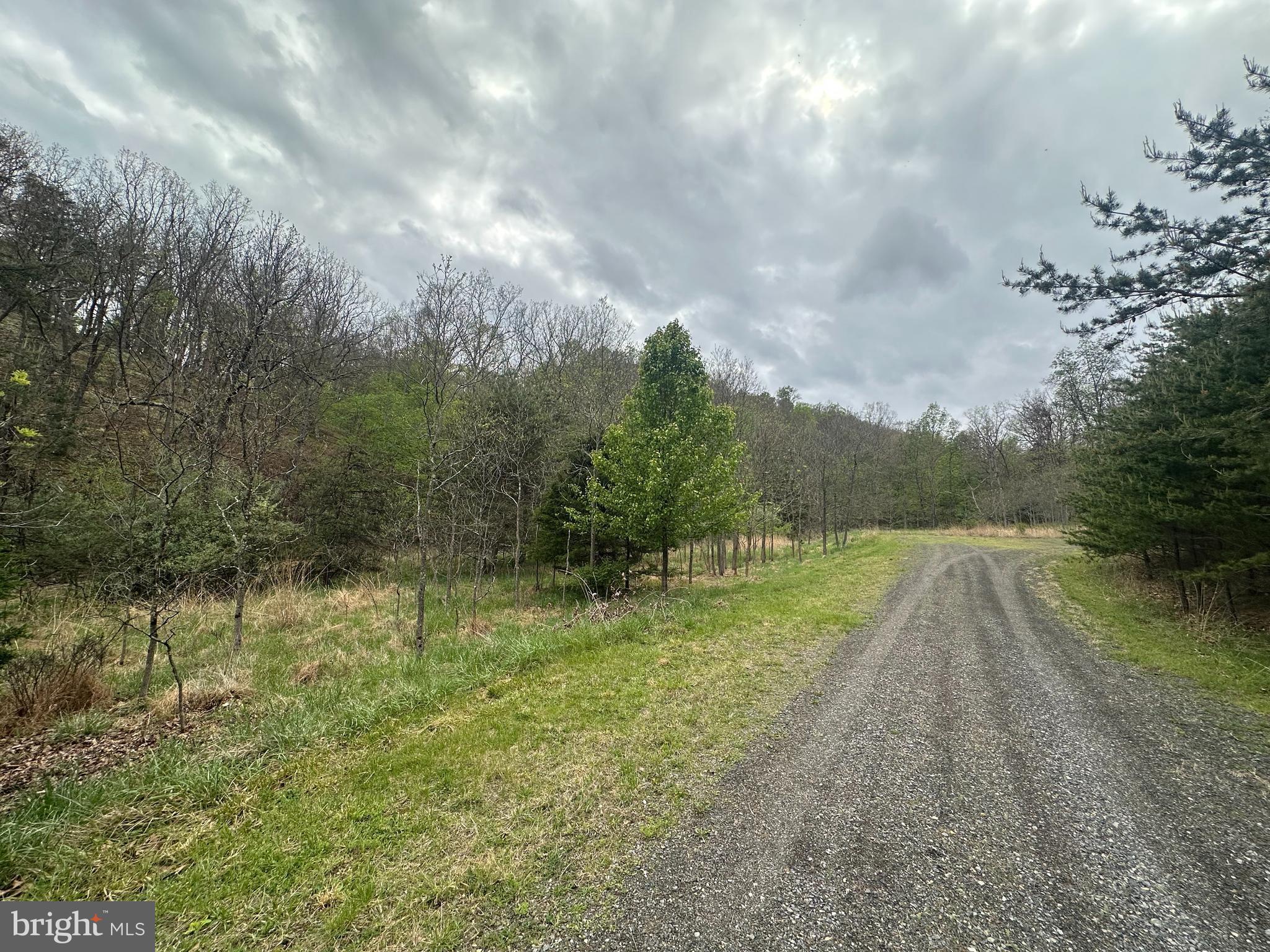 Lot 32 Moose Hollow Road Romney, WV 26757 - Photo 11 of 21