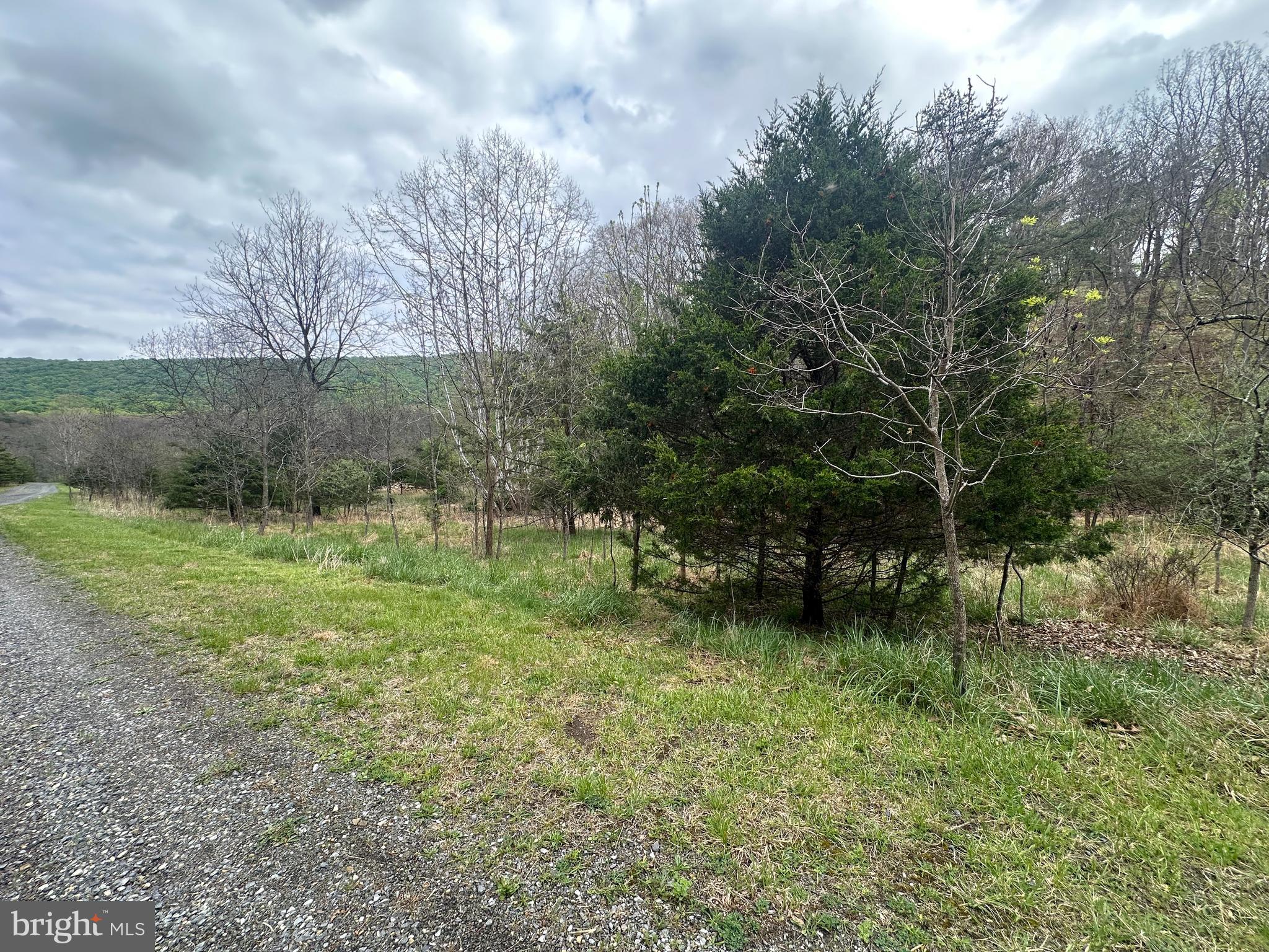 Lot 32 Moose Hollow Road Romney, WV 26757 - Photo 12 of 21