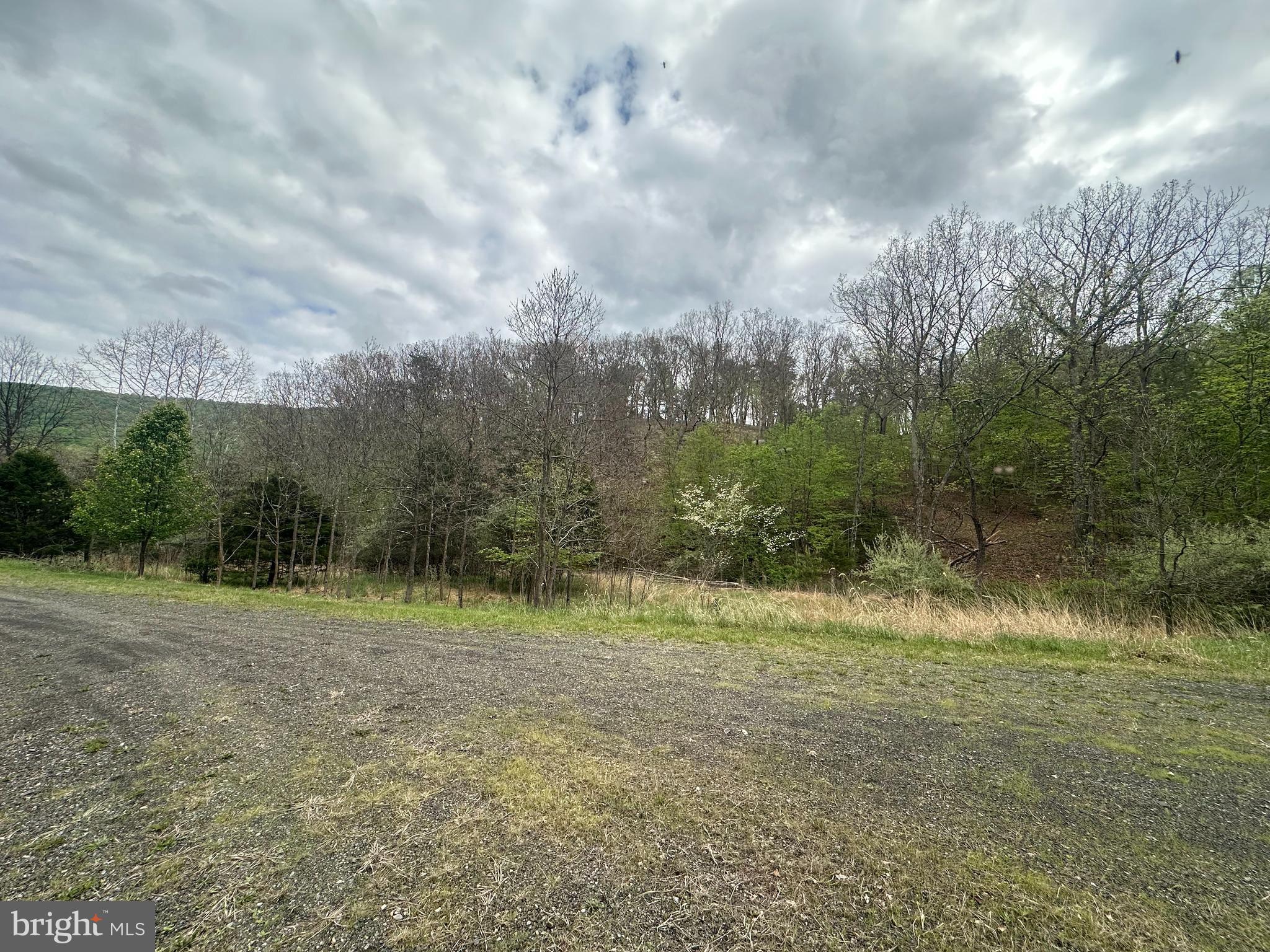 Lot 32 Moose Hollow Road Romney, WV 26757 - Photo 14 of 21