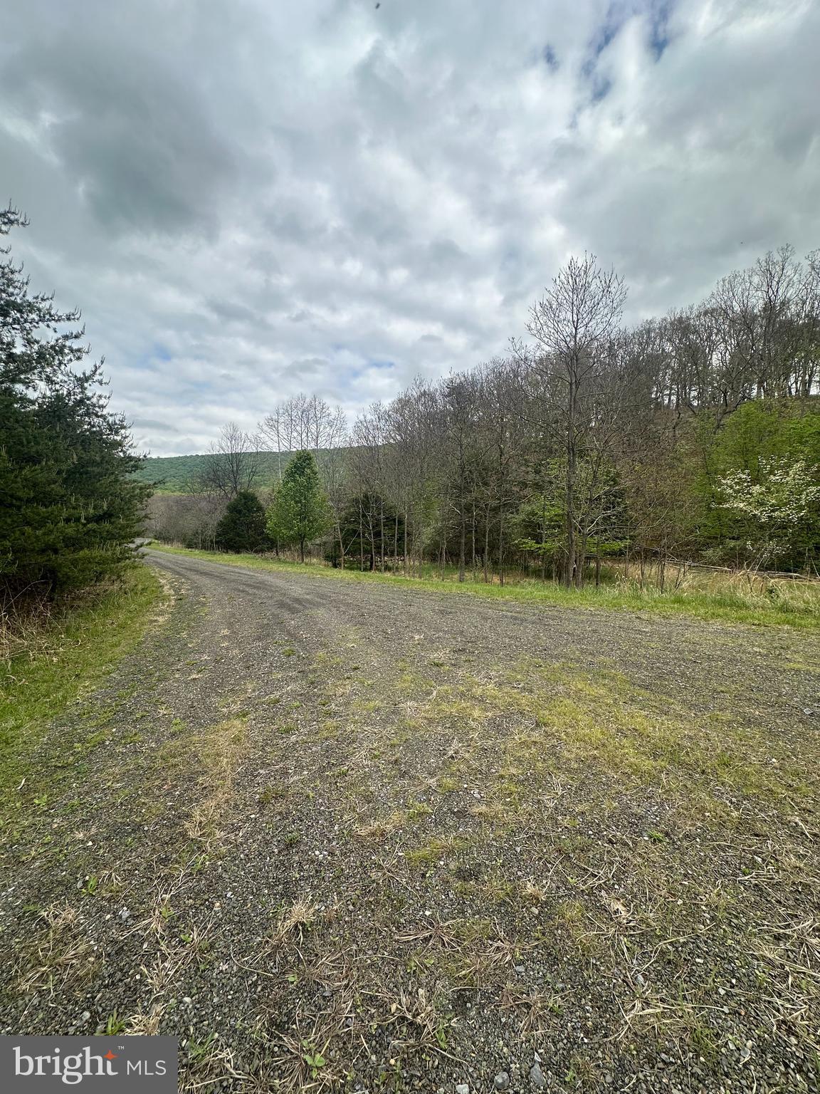 Lot 32 Moose Hollow Road Romney, WV 26757 - Photo 15 of 21