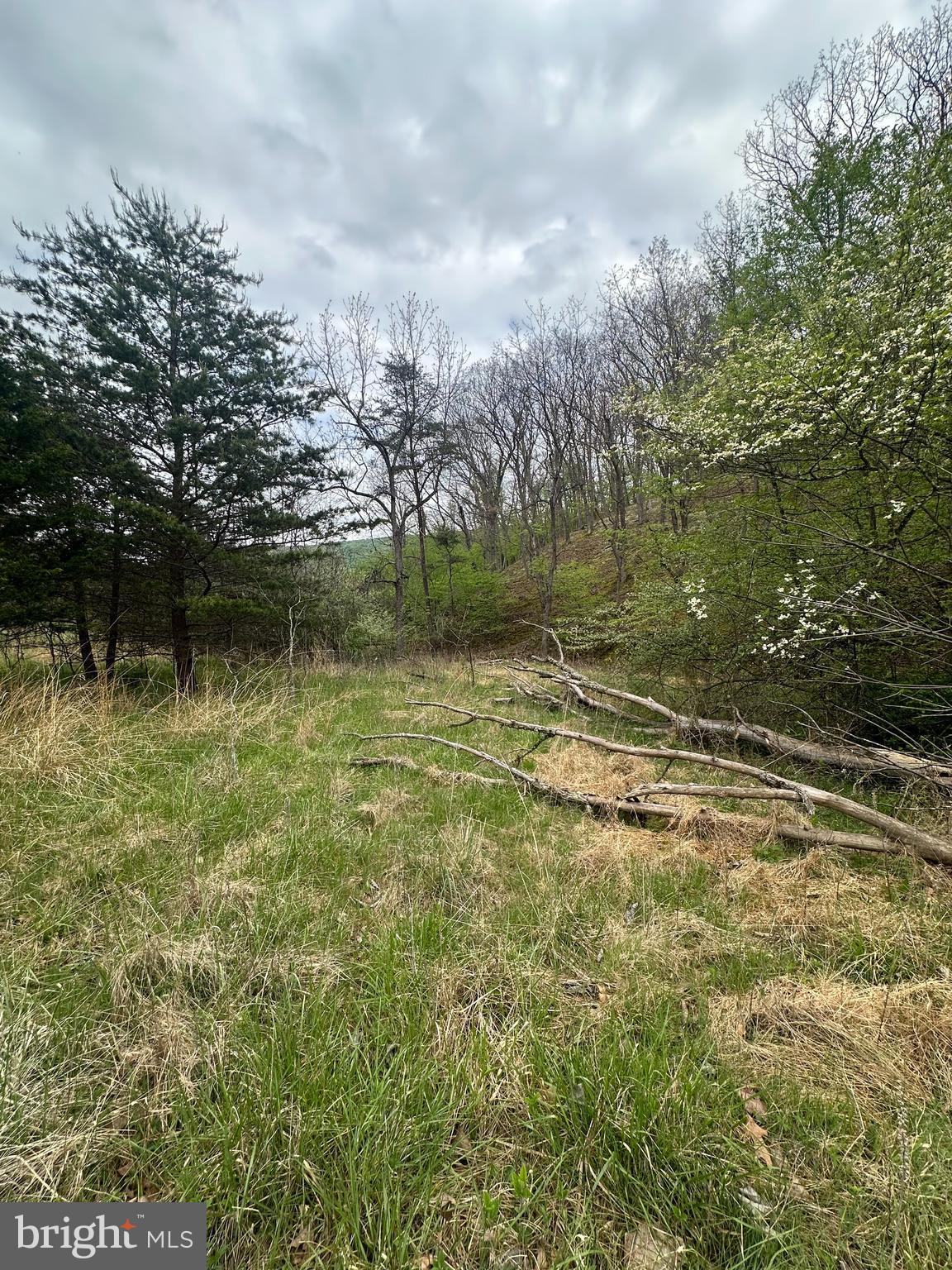 Lot 32 Moose Hollow Road Romney, WV 26757 - Photo 16 of 21