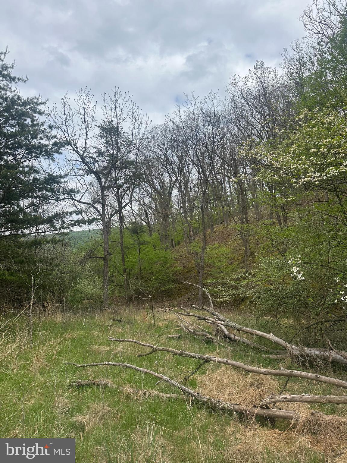 Lot 32 Moose Hollow Road Romney, WV 26757 - Photo 17 of 21