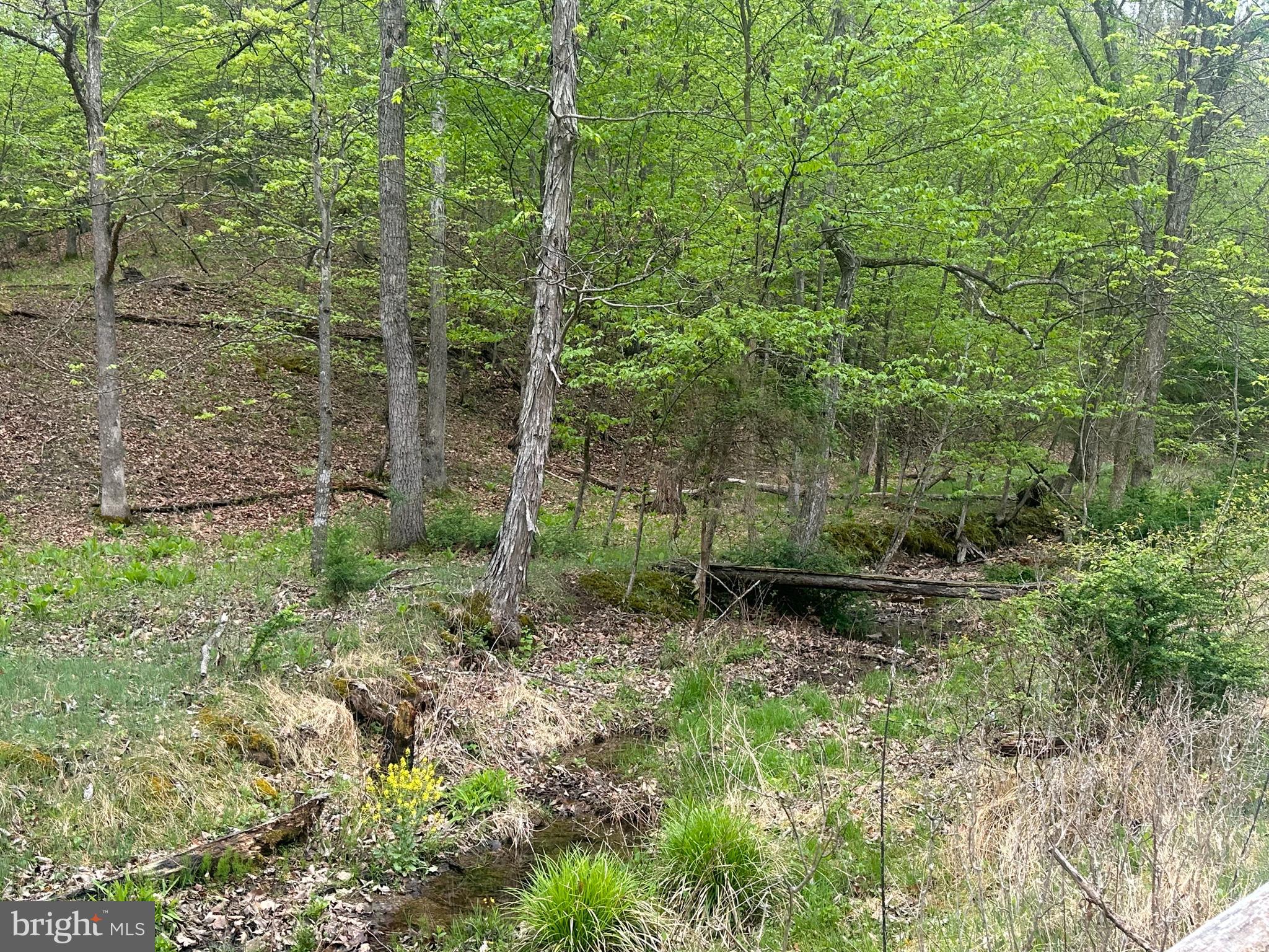 Lot 32 Moose Hollow Road Romney, WV 26757 - Photo 19 of 21