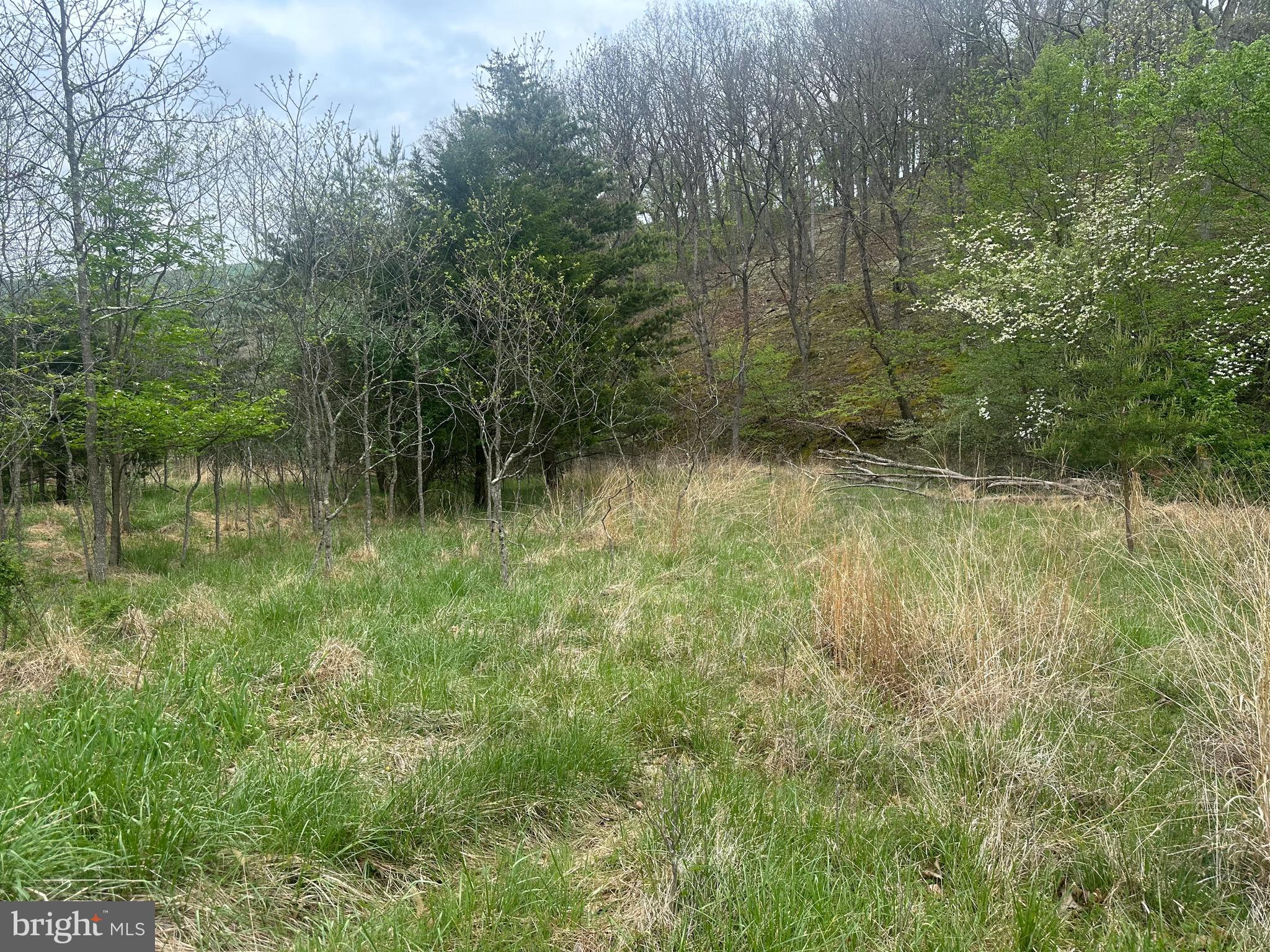 Lot 32 Moose Hollow Road Romney, WV 26757 - Photo 20 of 21