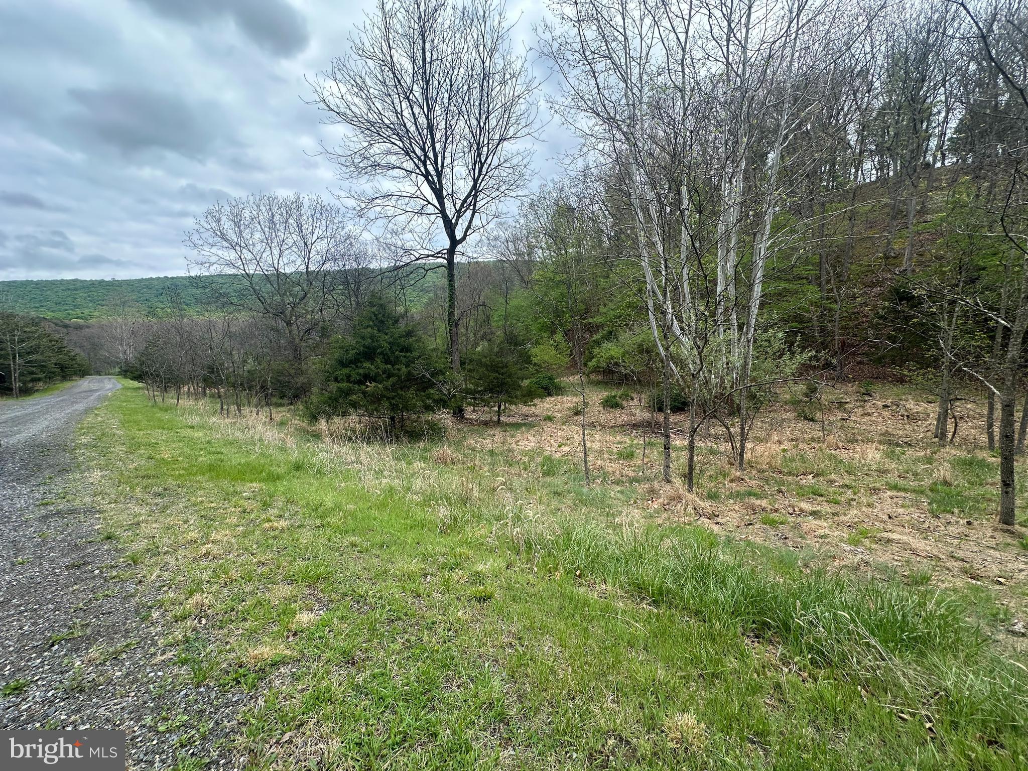 Lot 32 Moose Hollow Road Romney, WV 26757 - Photo 2 of 21