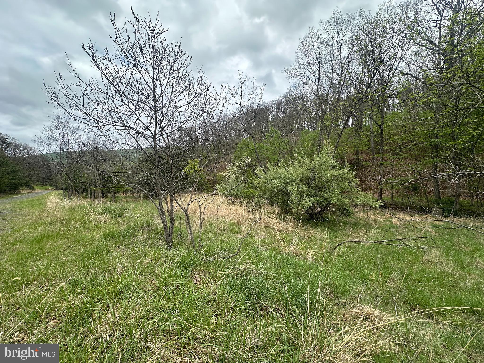 Lot 32 Moose Hollow Road Romney, WV 26757 - Photo 21 of 21