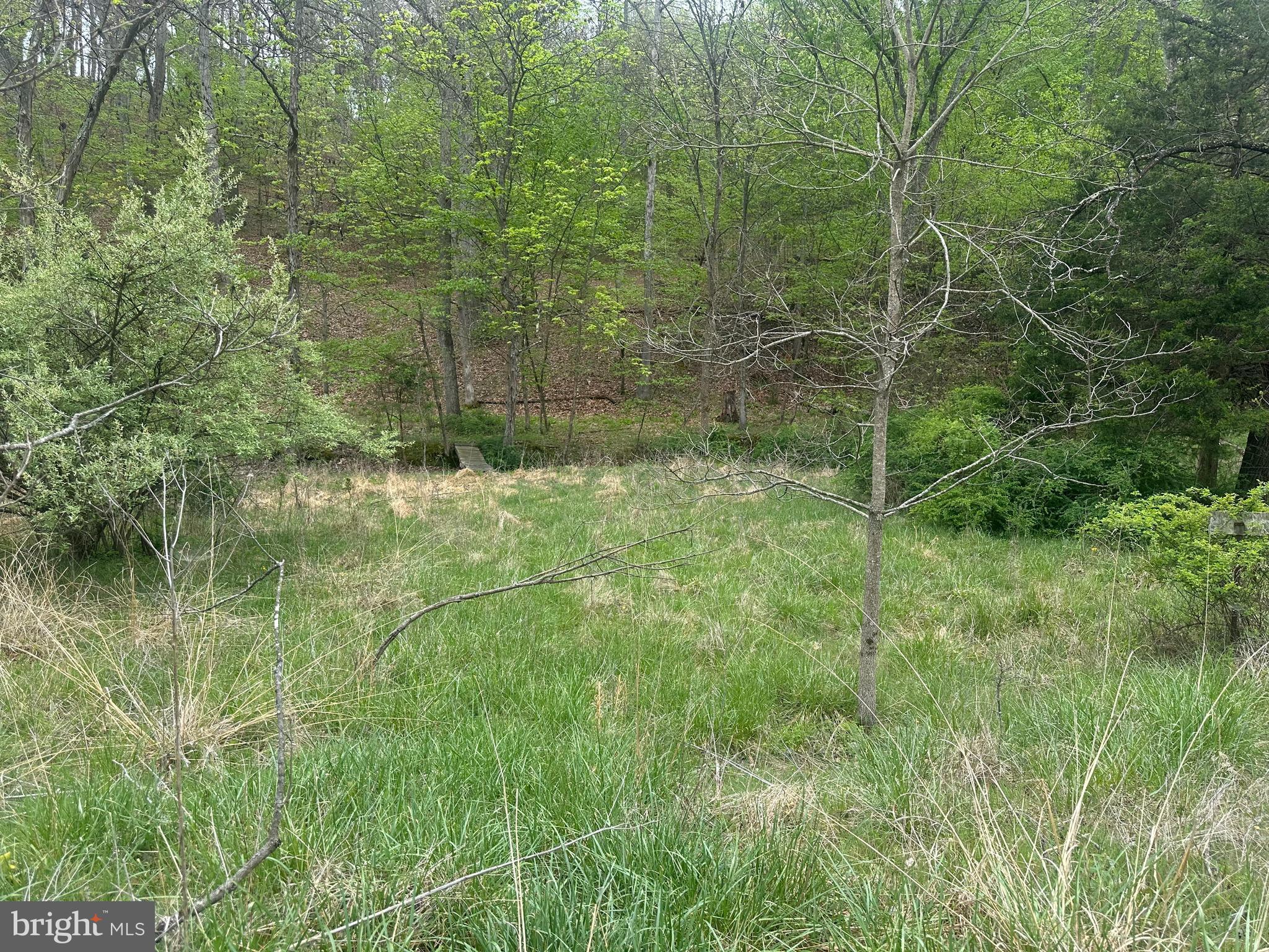 Lot 32 Moose Hollow Road Romney, WV 26757 - Photo 4 of 21