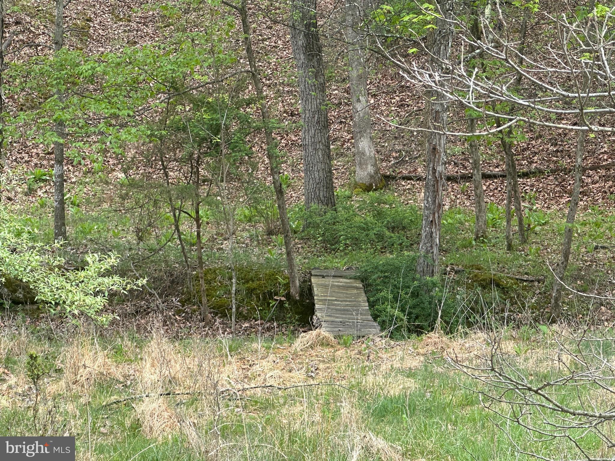 Lot 32 Moose Hollow Road Romney, WV 26757 - Photo 5 of 21