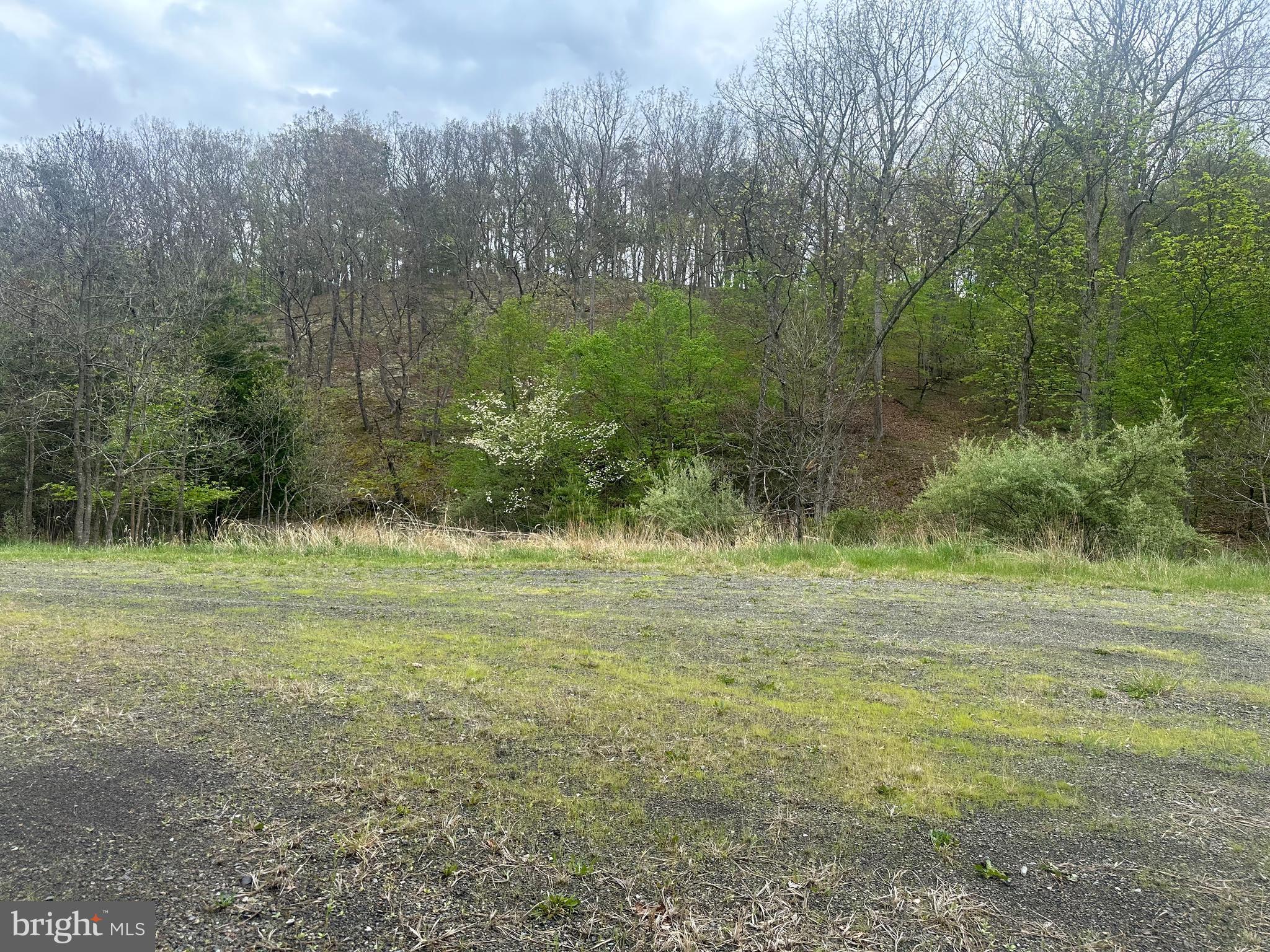 Lot 32 Moose Hollow Road Romney, WV 26757 - Photo 6 of 21