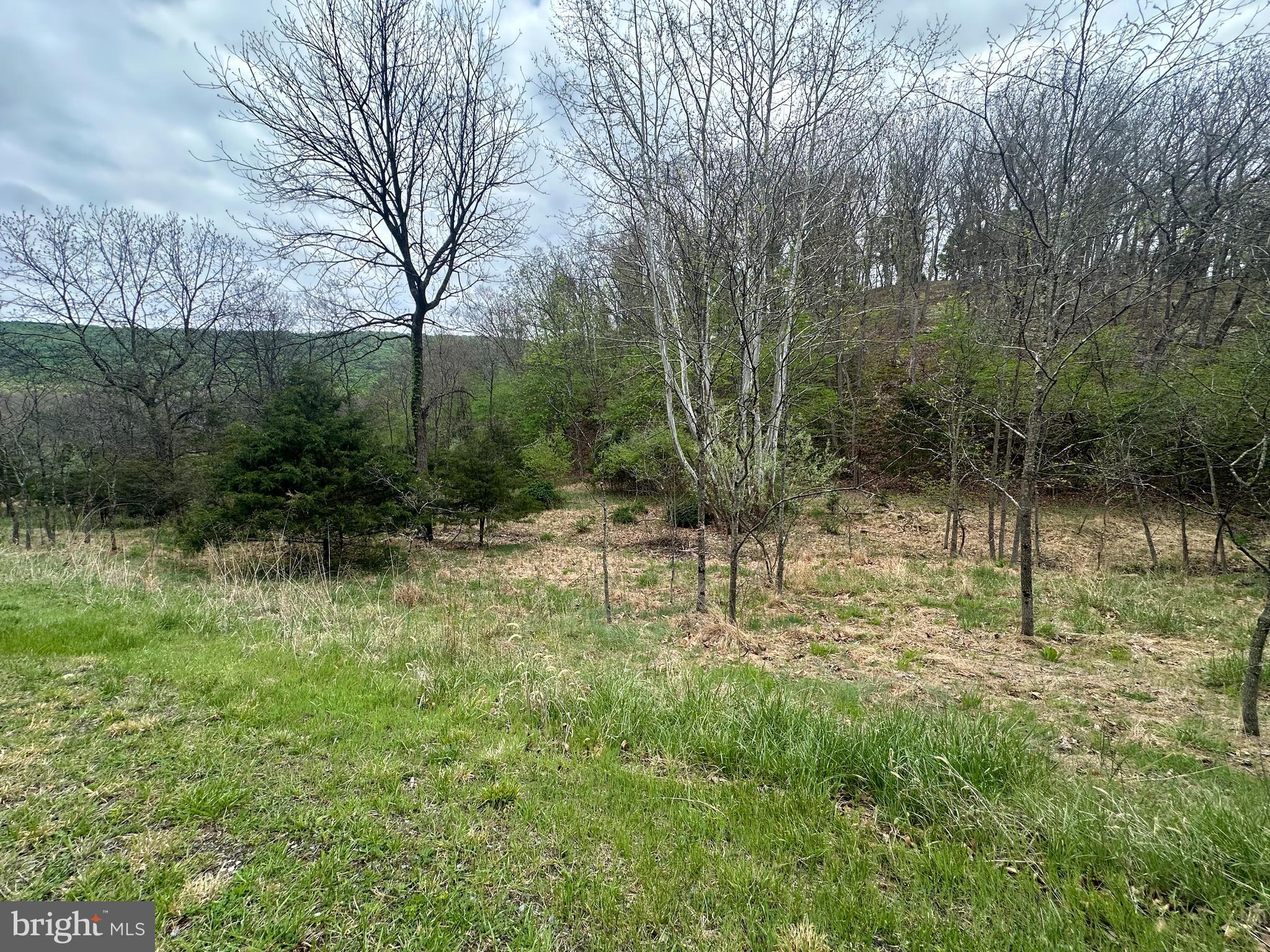 Lot 32 Moose Hollow Road Romney, WV 26757 - Photo 8 of 21