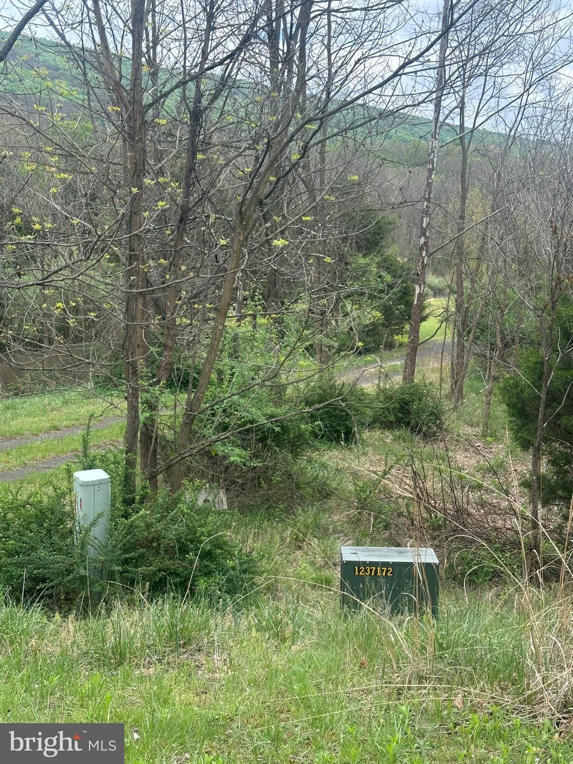 Lot 32 Moose Hollow Road Romney, WV 26757 - Photo 9 of 21
