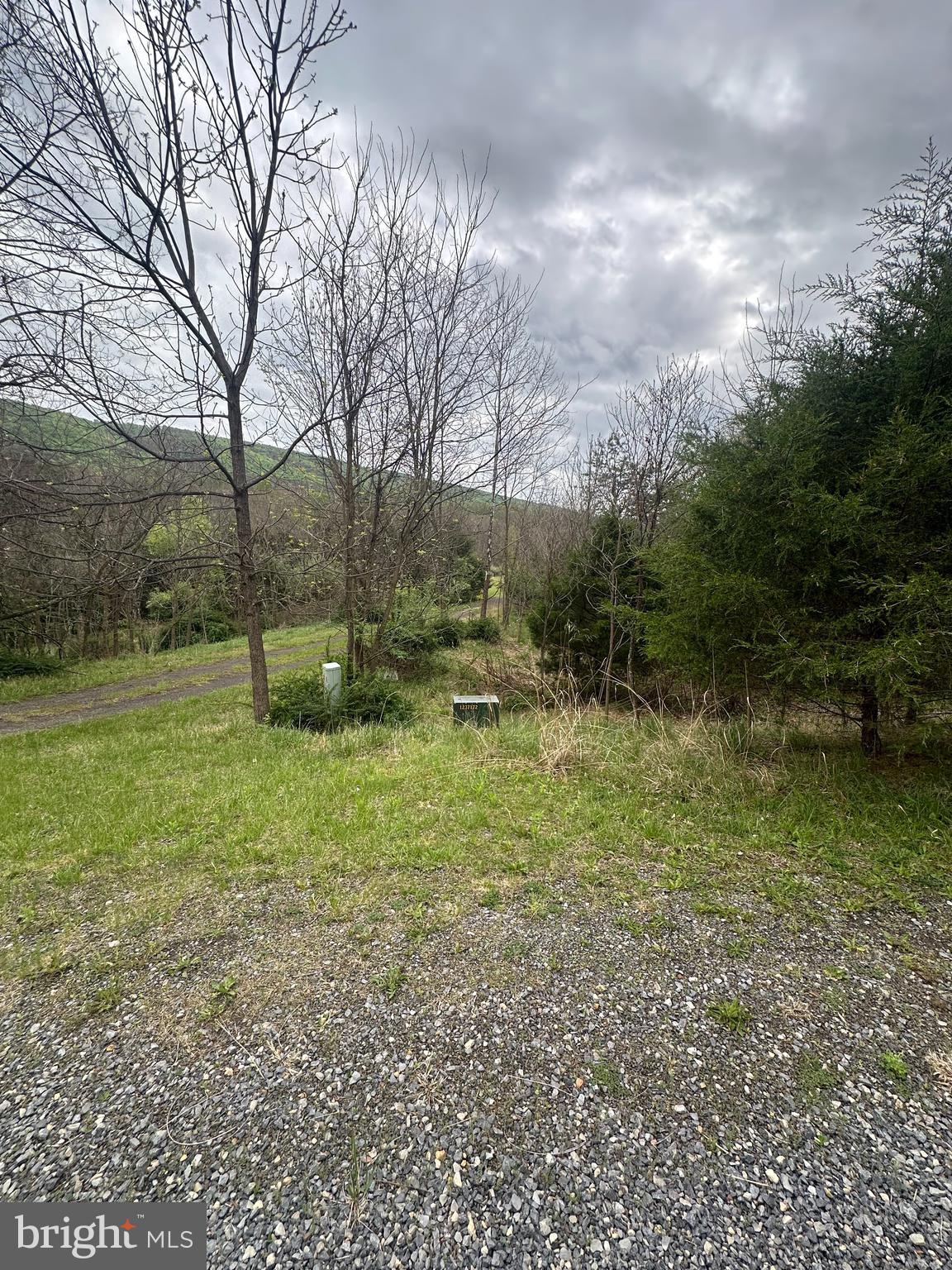 Lot 32 Moose Hollow Road Romney, WV 26757 - Photo 10 of 21