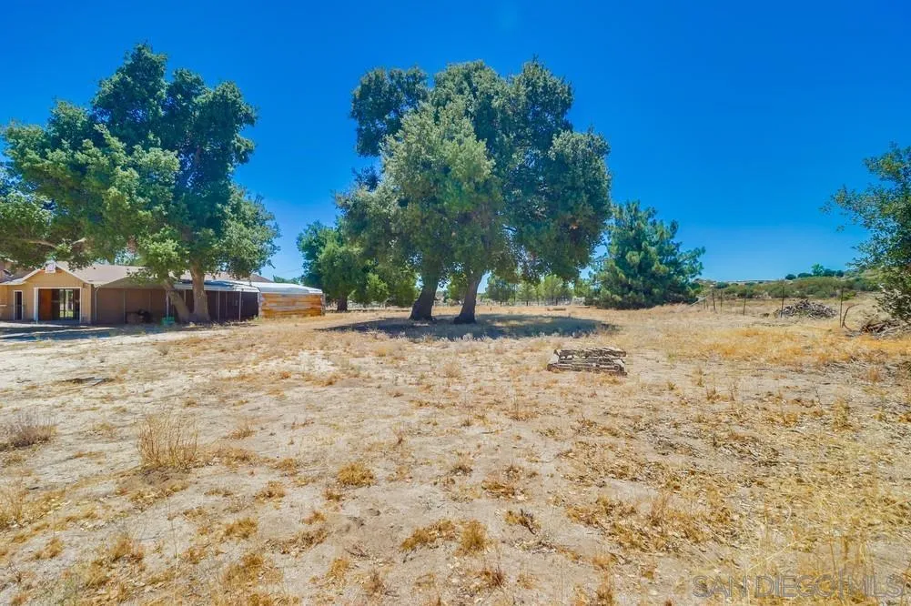 2920 Ribbonwood Road Boulevard, CA 91905 - Photo 39 of 65 a view of a yard with a tree