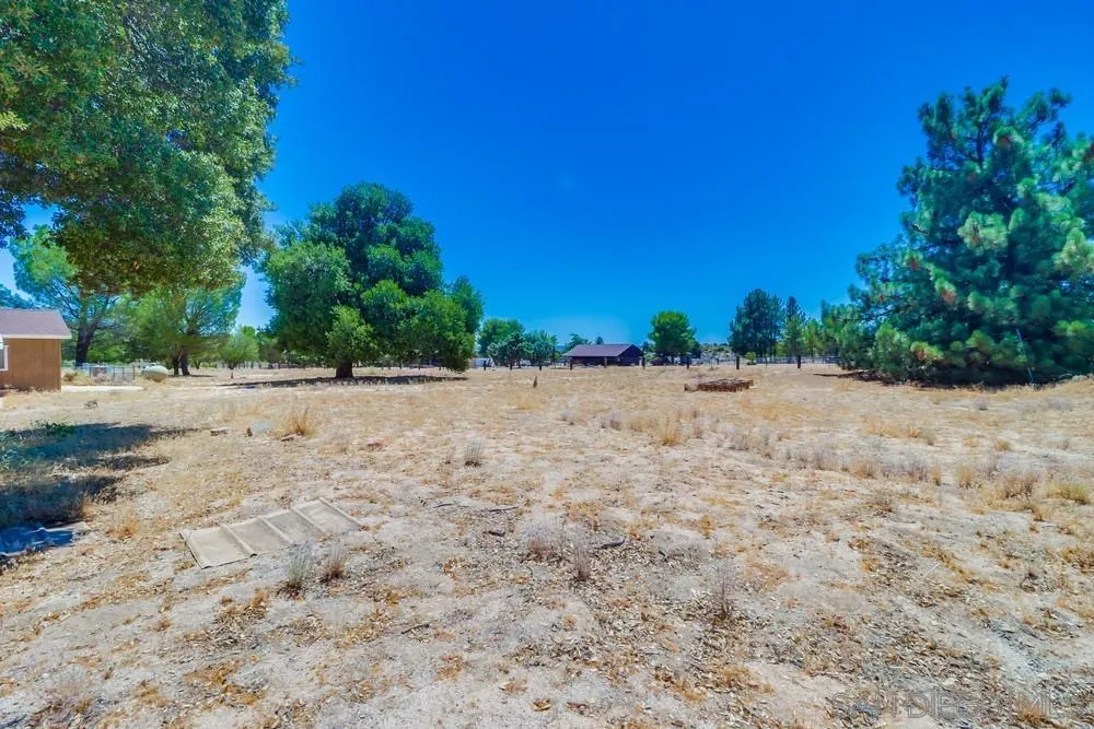 2920 Ribbonwood Road Boulevard, CA 91905 - Photo 40 of 65 a view of a dry yard with trees