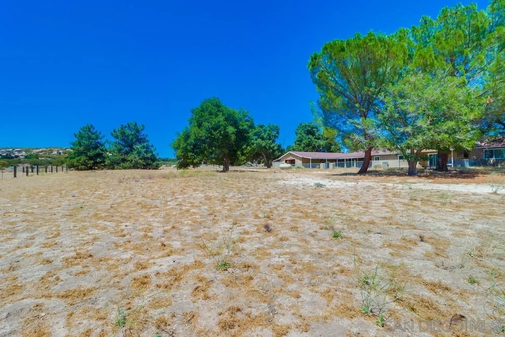 2920 Ribbonwood Road Boulevard, CA 91905 - Photo 46 of 65 a view of a tree with an outdoor space