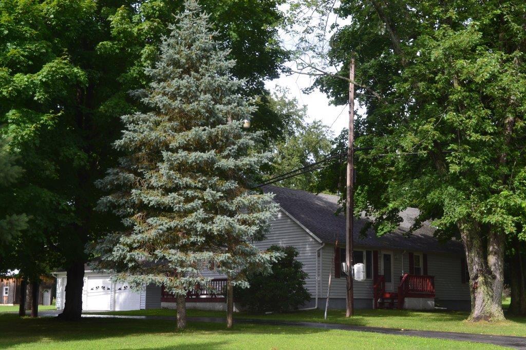 9559 Tannery Creek Road Lindley, NY 14830 - Photo 1 of 1 Gallery Image 1
