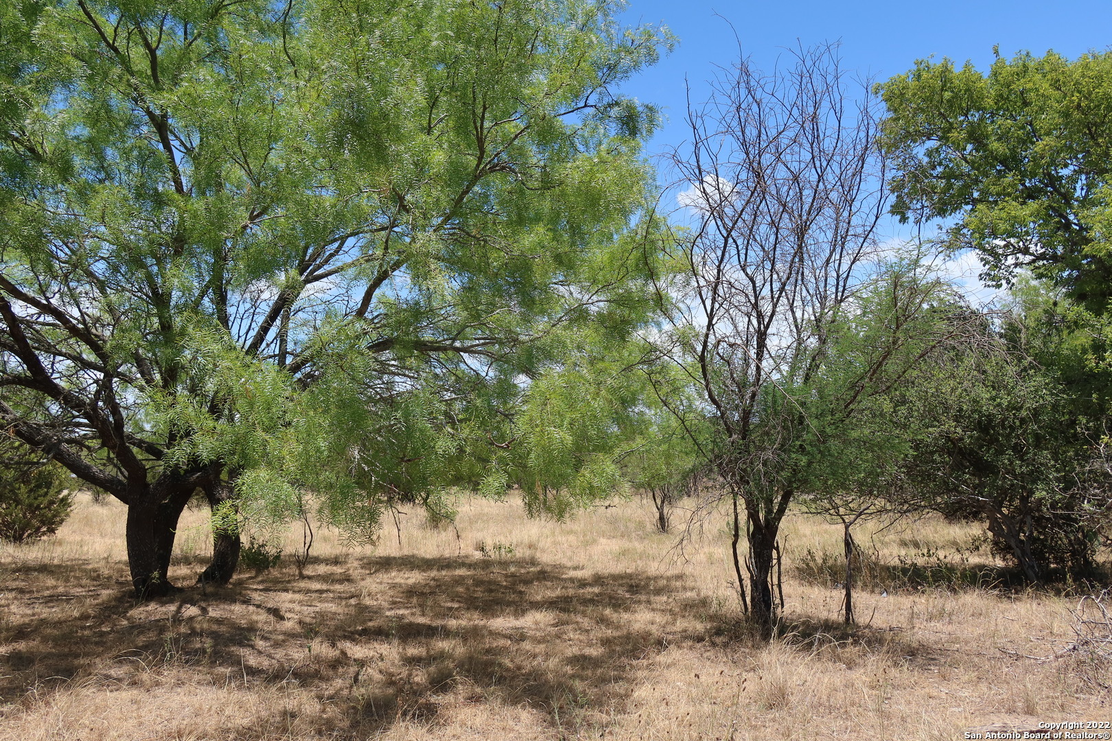 Tbd Cypress Bandera, TX 78003 - Photo 1 of 12 a view of backyard with green space