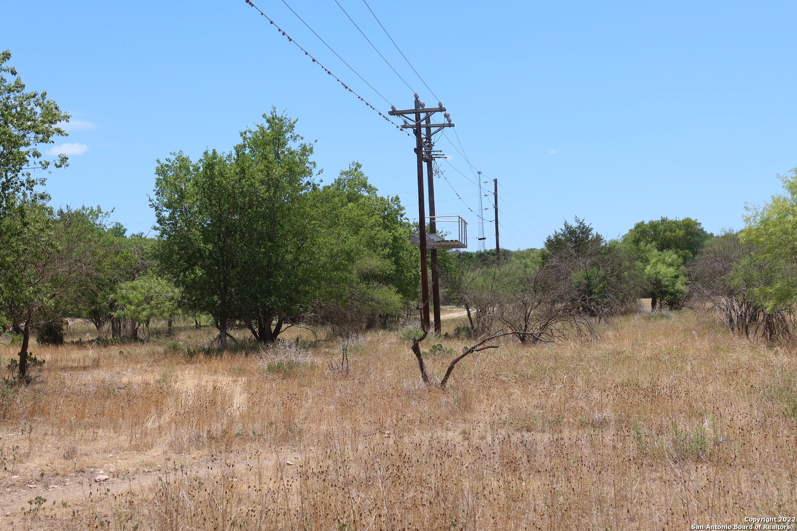 Tbd Cypress Bandera, TX 78003 - Photo 3 of 12 a view of a dry yard with a tree