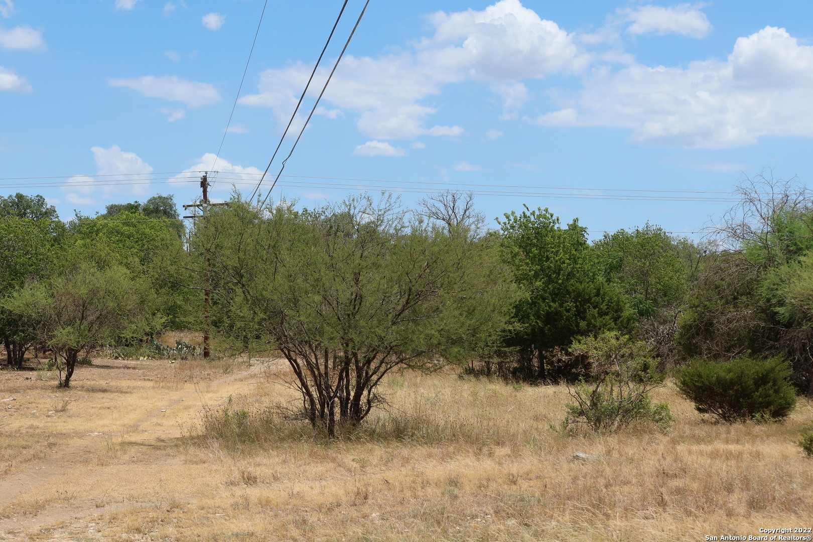 Tbd Cypress Bandera, TX 78003 - Photo 4 of 12 a view of a yard