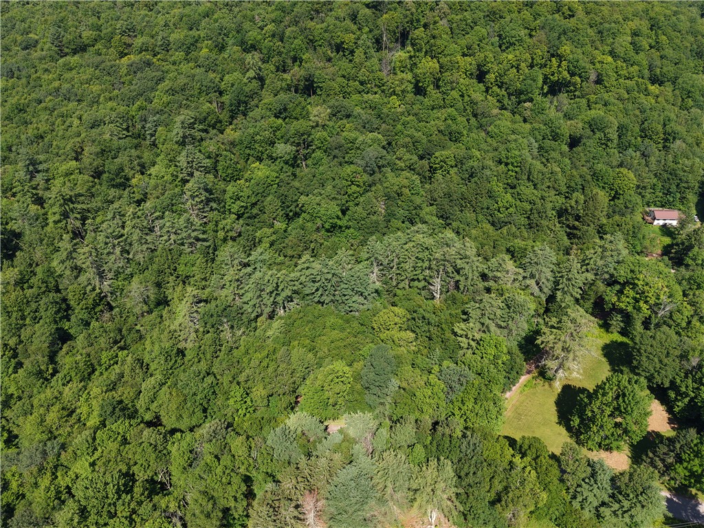 Lot 35 Webster Brook Road Bloomville, NY 13739 - Photo 40 of 42