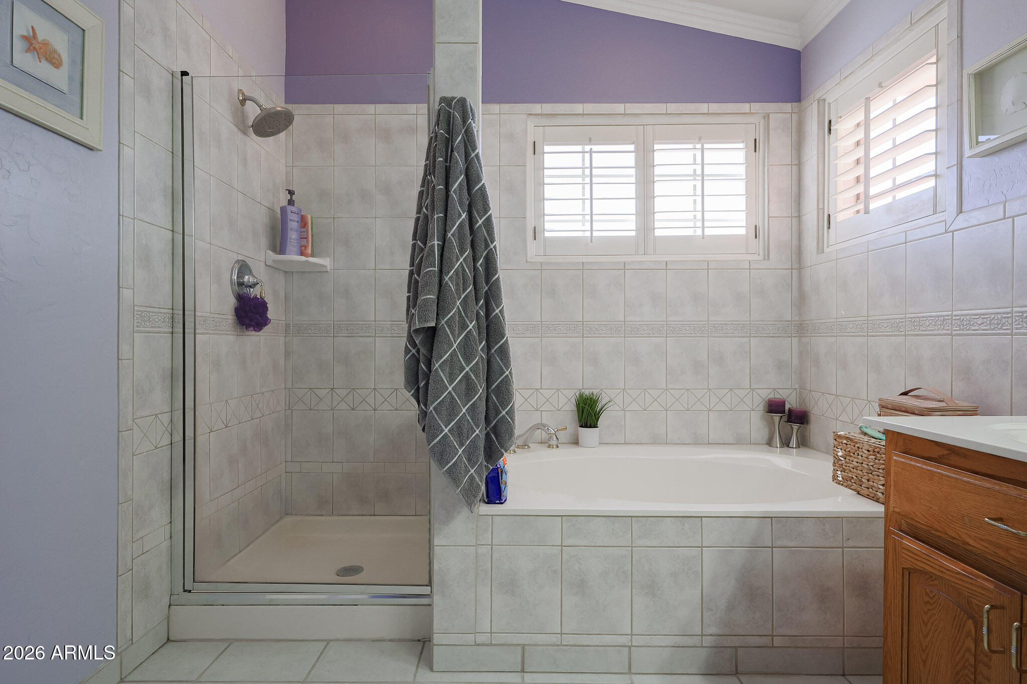 7344 North Alsup Road Litchfield Park, AZ 85340 - Photo 35 of 62 a bathroom with a bathtub and shower