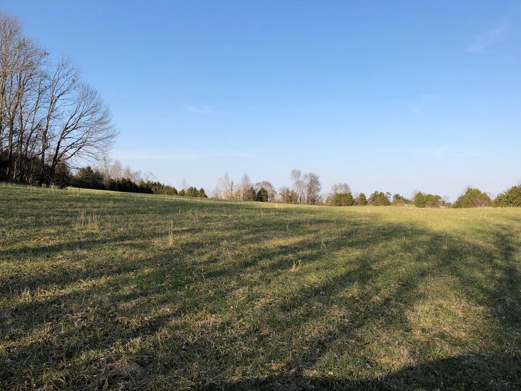 950 Johnney Harvey Road Breeding, KY 42715 - Photo 3 of 26 Gallery Image 3