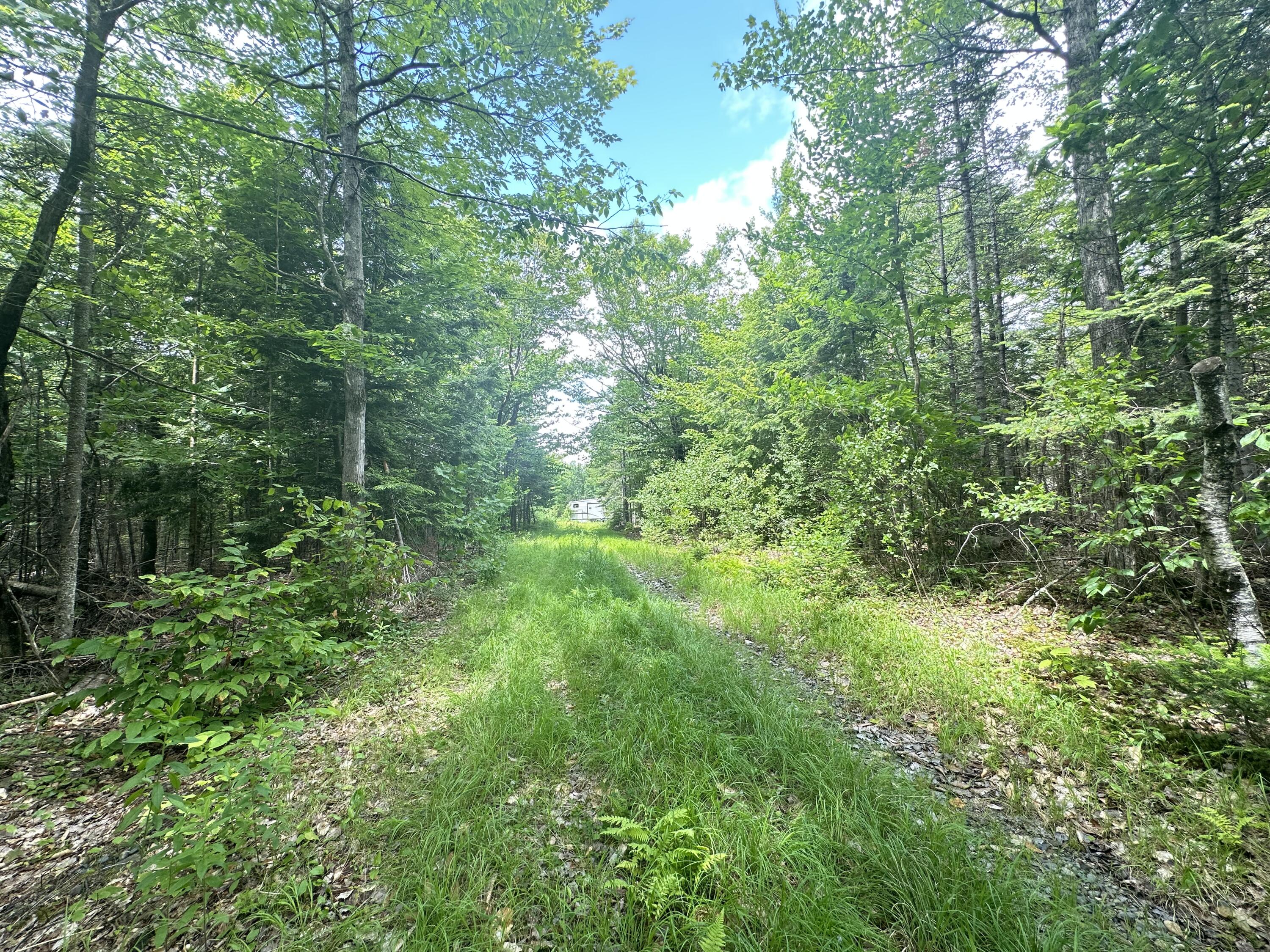 1818 Industry Road Industry, ME 04938 - Photo 11 of 12 IMG_4499