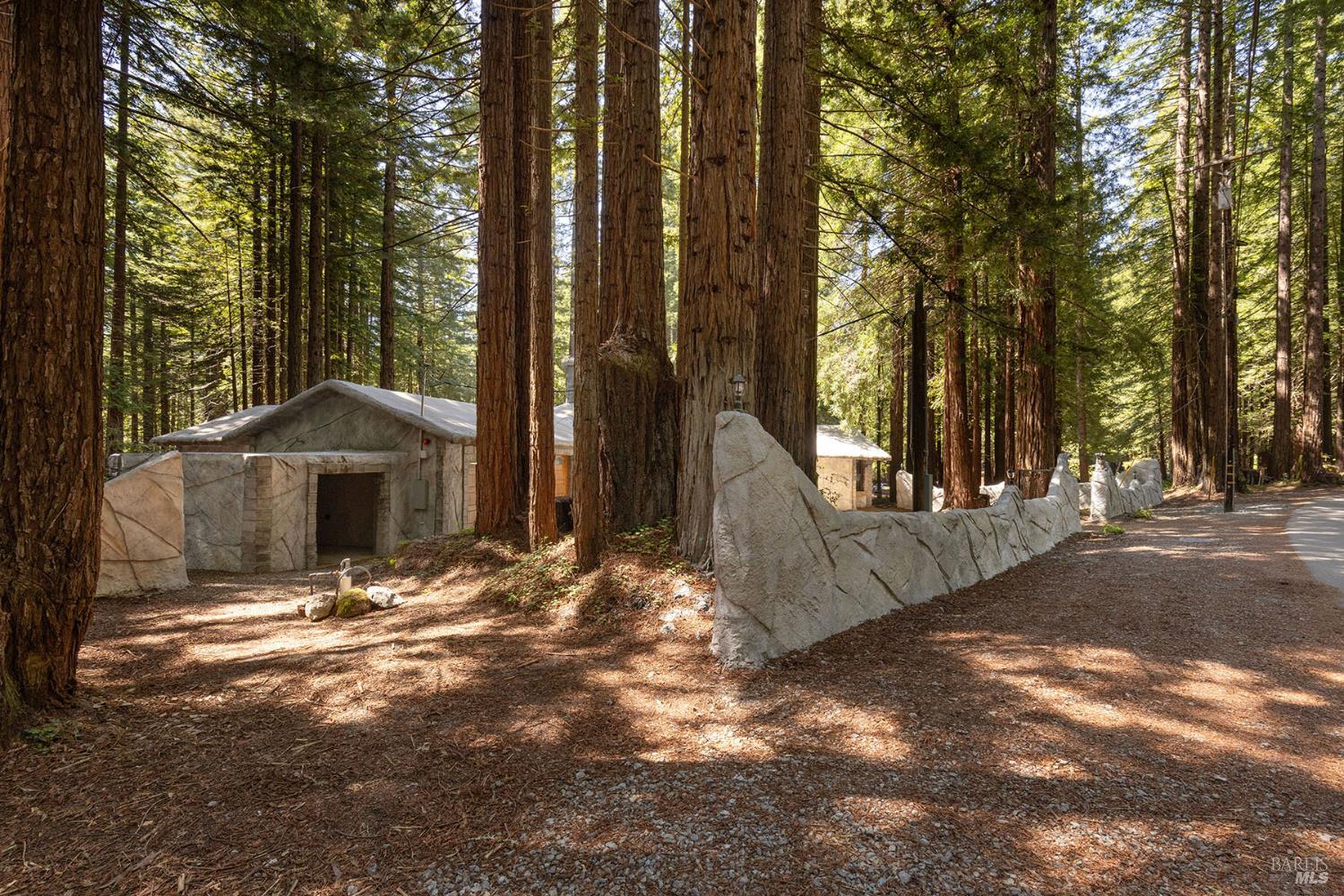 2264 Joy Ridge Road Occidental, CA 95465 - Photo 44 of 74