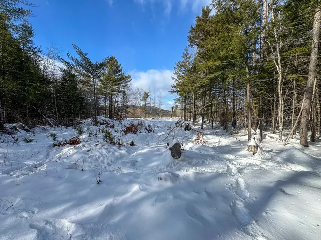 $90,000 | 100 Sam Brown Hill Road, Brownfield, ME 04010