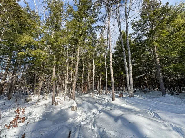 $90,000 | 100 Sam Brown Hill Road, Brownfield, ME 04010