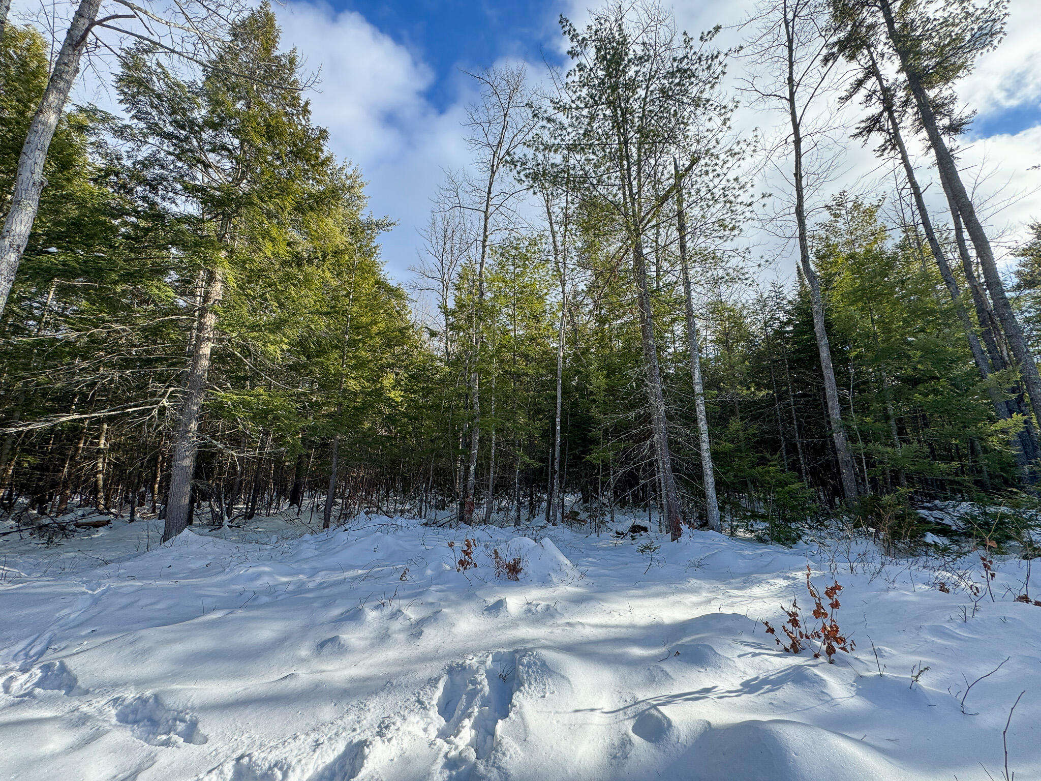100 Sam Brown Hill Road Brownfield, ME 04010 - Photo 15 of 22 15