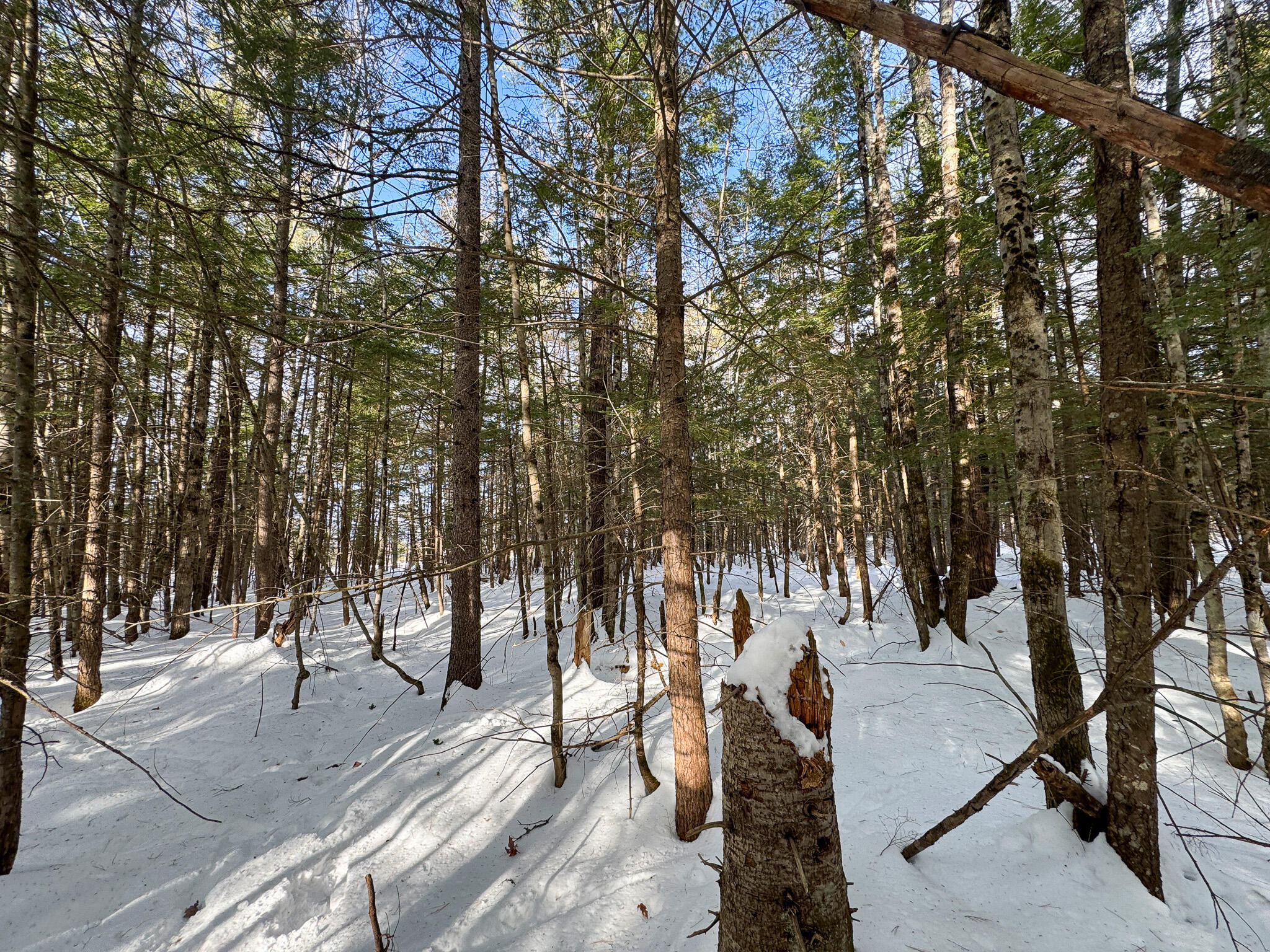 100 Sam Brown Hill Road Brownfield, ME 04010 - Photo 16 of 22 16