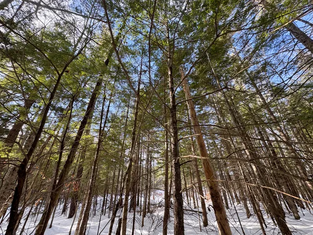 $90,000 | 100 Sam Brown Hill Road, Brownfield, ME 04010