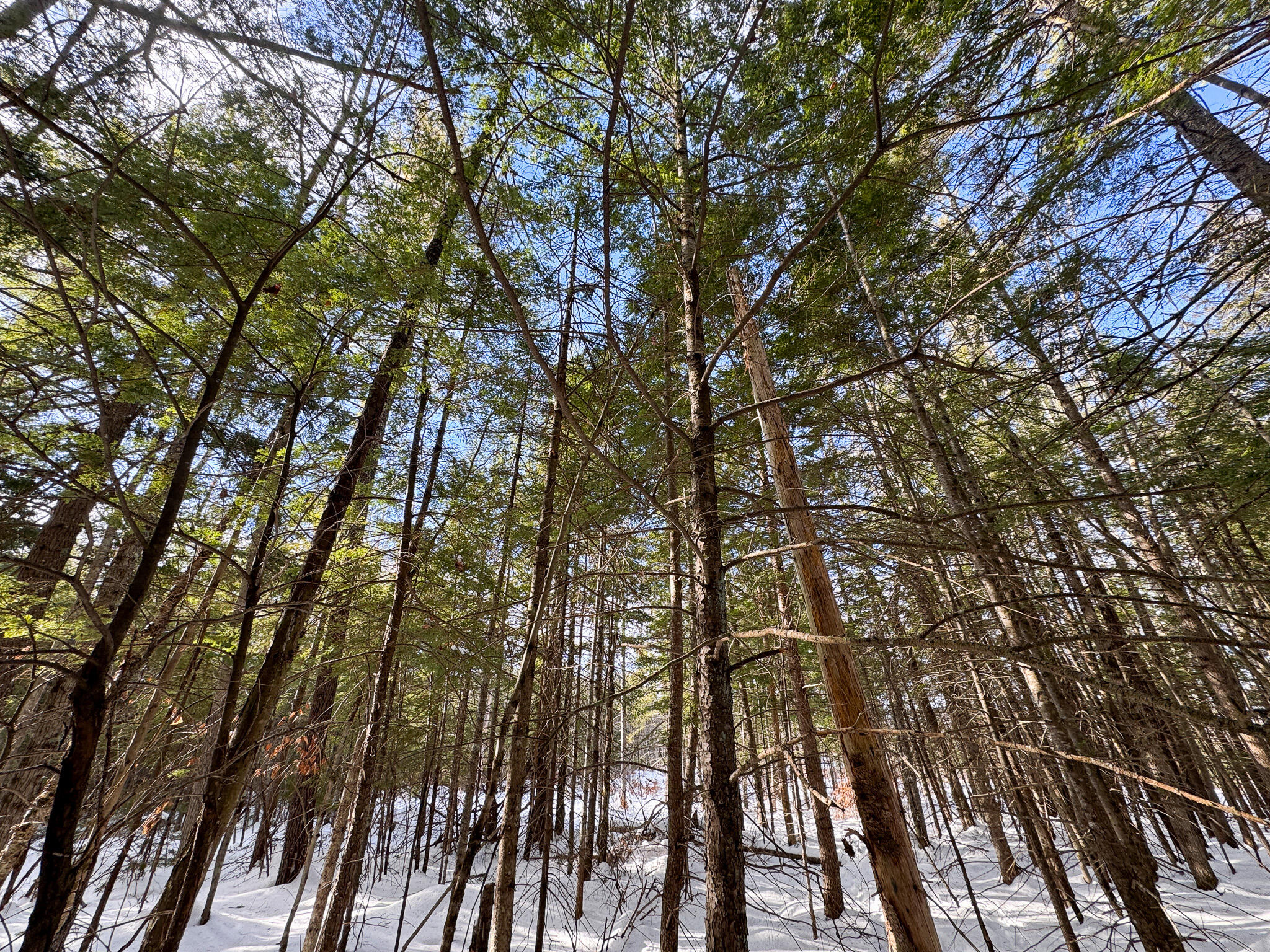 100 Sam Brown Hill Road Brownfield, ME 04010 - Photo 17 of 22 17
