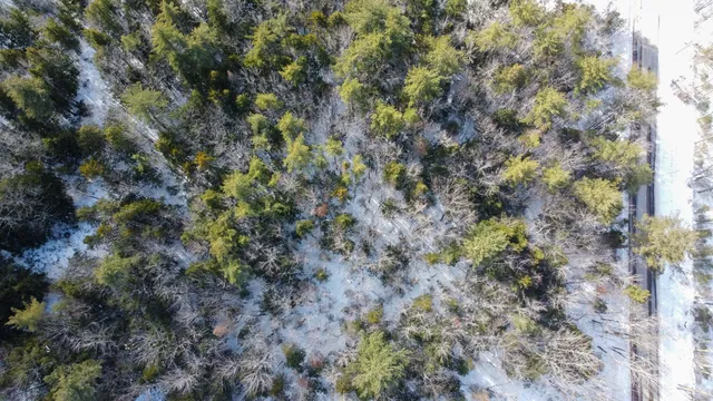 $90,000 | 100 Sam Brown Hill Road, Brownfield, ME 04010