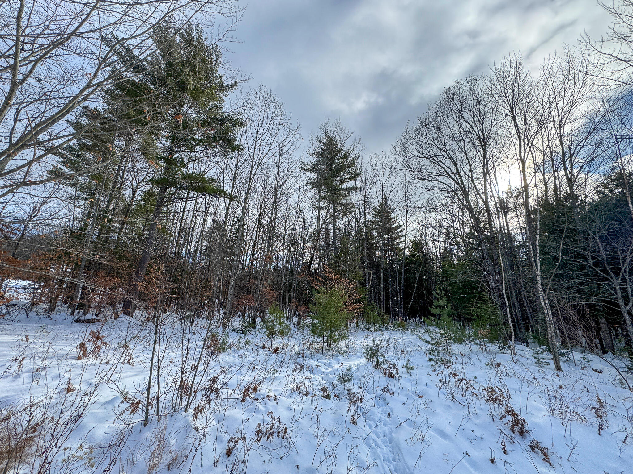100 Sam Brown Hill Road Brownfield, ME 04010 - Photo 7 of 22 7