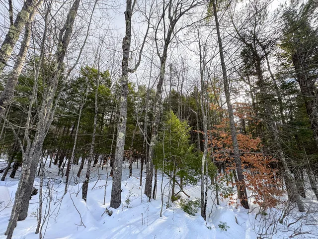 $90,000 | 100 Sam Brown Hill Road, Brownfield, ME 04010