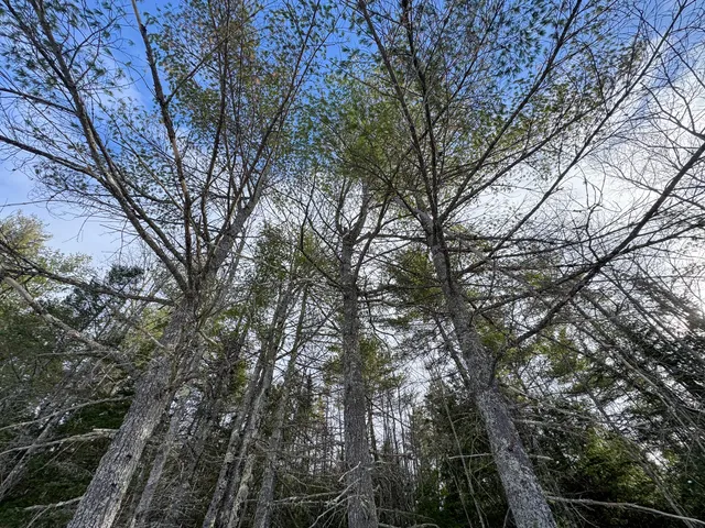 $90,000 | 100 Sam Brown Hill Road, Brownfield, ME 04010