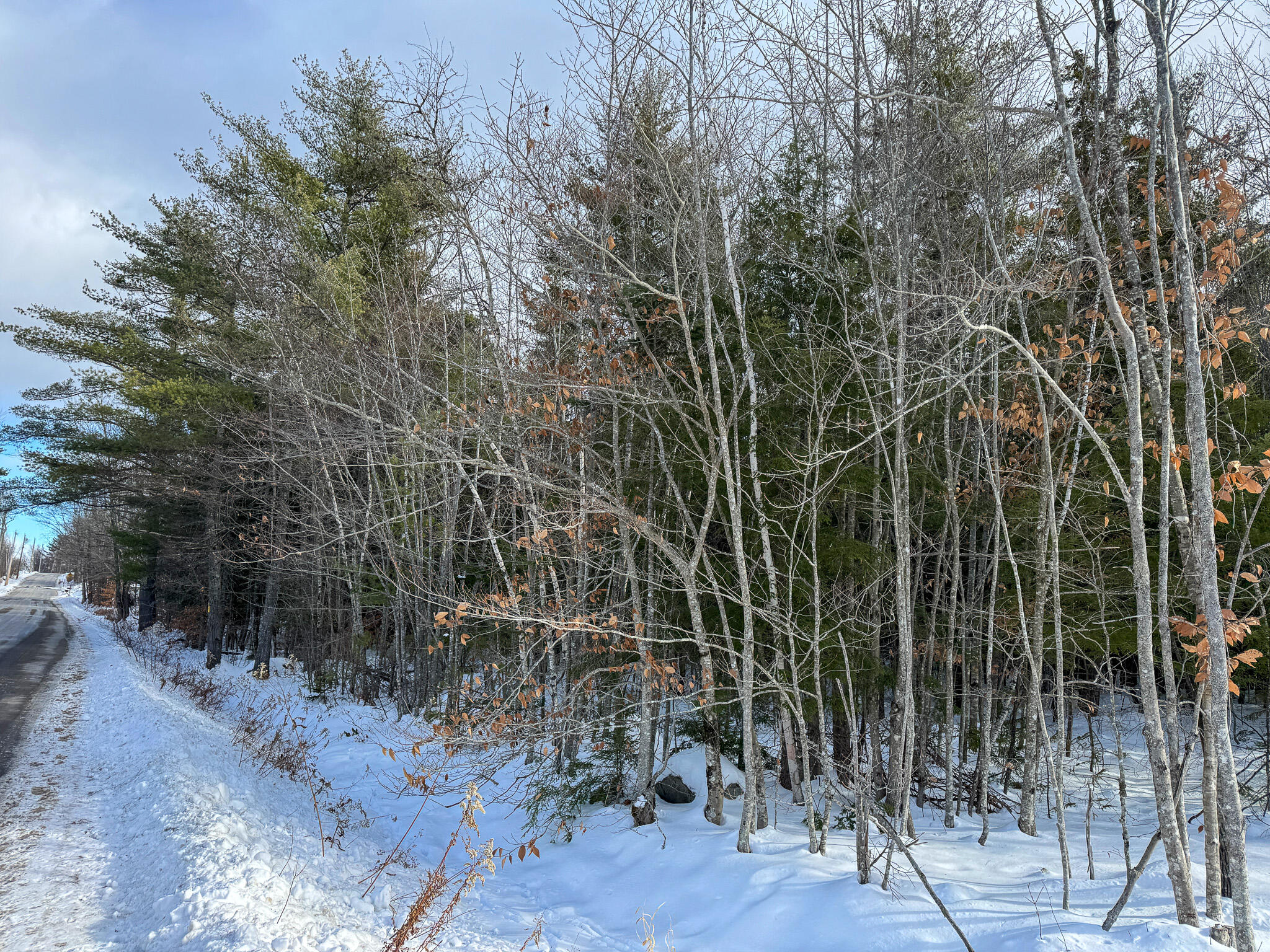 100 Sam Brown Hill Road Brownfield, ME 04010 - Photo 10 of 22 10